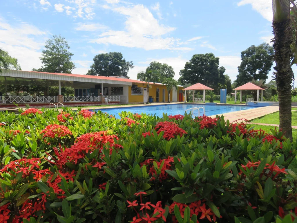 Piscina paraiso tropical