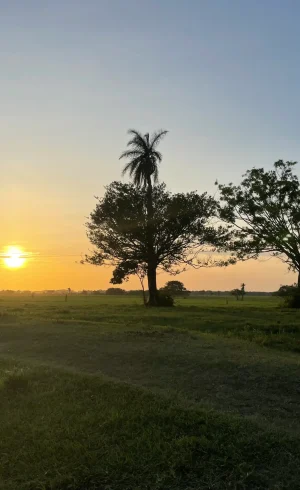 Trinidad - Casanare